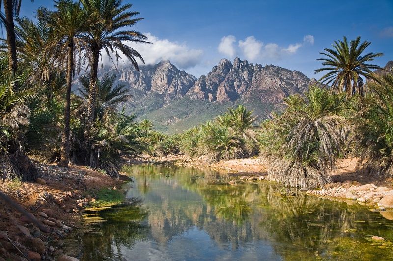 Socotra08.jpg