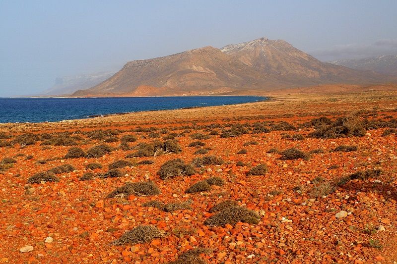 Socotra17.jpg