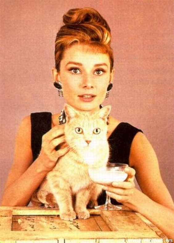 Audrey Hepburn.JPG