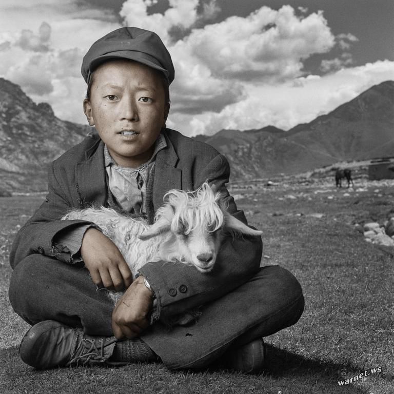Tibetian5.jpg