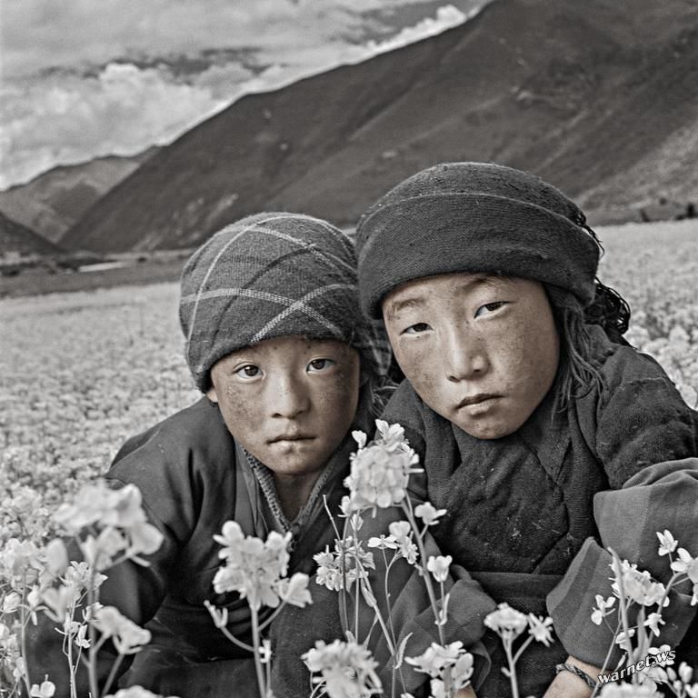 Tibetian9.jpg