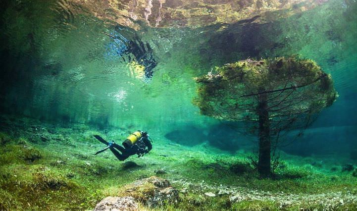 underwater park.jpg