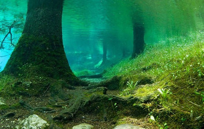 underwater park7.jpg