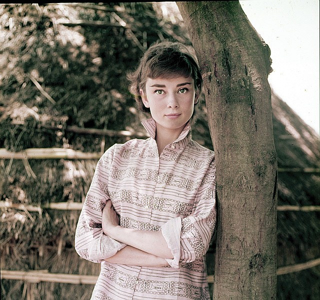 Audrey Hepburn28.jpg