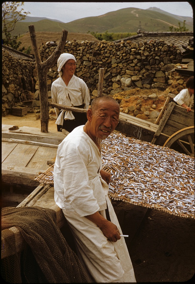 121Dried fish seller, 1952.jpg