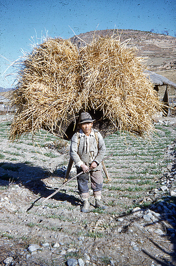 20 - Straw Korea 1952.jpg