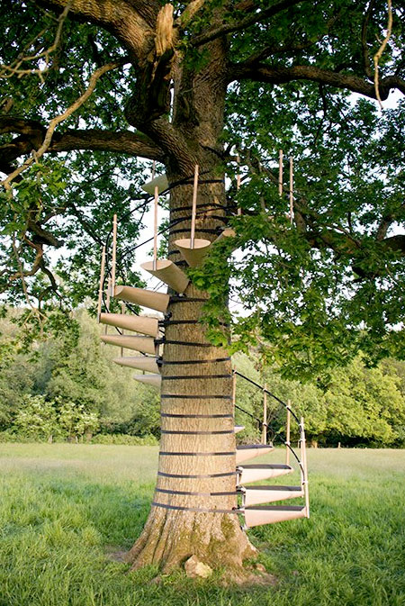 Tree-Staircase7.jpg