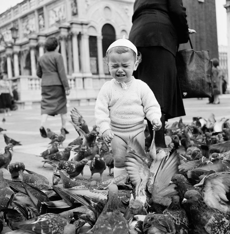 28 Pigeon Fright, Venice, 1956.jpg