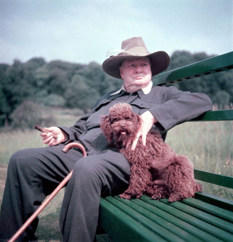 Winston Churchill and his dog, Rufus, at Chartwell in 1950.jpg