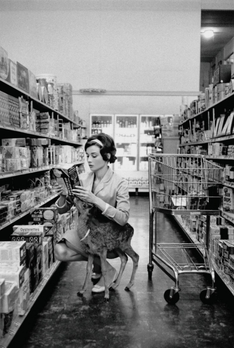 Audrey Hepburn and her Fawn, 1958..jpg