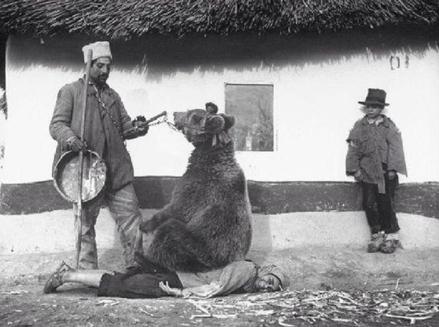Bear back therapy. Romania, 1946..jpg