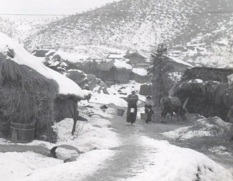 9 Mamasan and Josan with their Oxen carrying water in their Village near the Turkish Bde. Korea, 1957.jpg