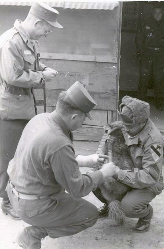 18 SFC White holding dog to get it vaccinated, Korea 1958.jpg