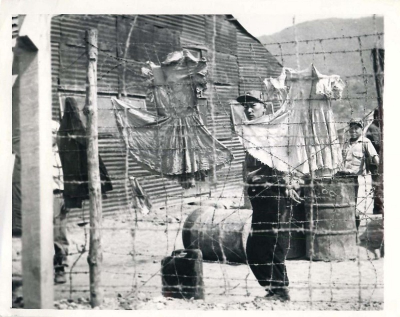 1952 Dresses Hang on Fence at Compound 77 in POW Camp on Koje-Do Press Photo.JPG