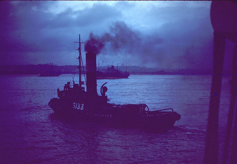 8c Tug in Yokohama Harbor, Aug 1950.jpg