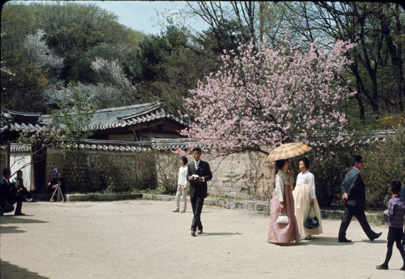 Changkyunggung May 1966-7.jpg