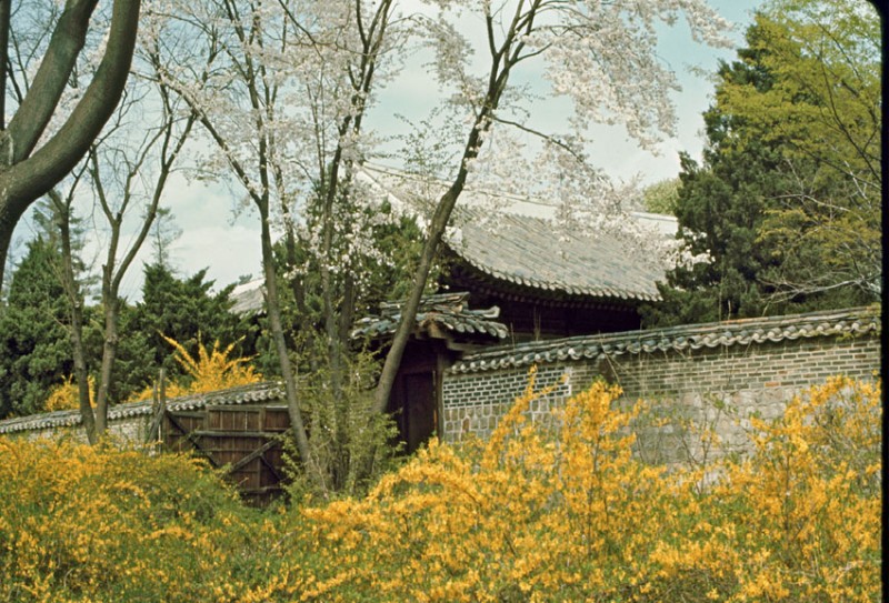 Changkyonggung May 1966-3.jpg