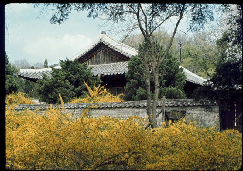 Changkyonggung, May 1966-10.jpg