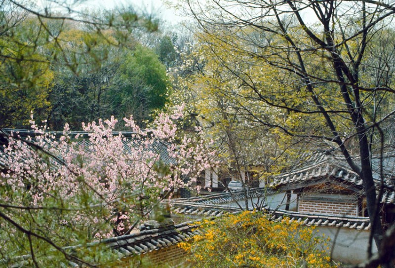 Changkyonggung May 1966-5.jpg