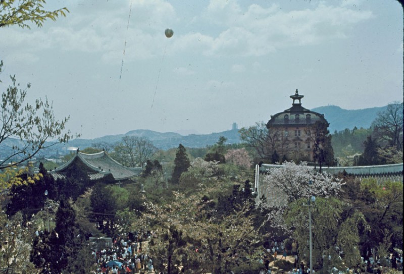 Changkyunggung May 1966-6.jpg