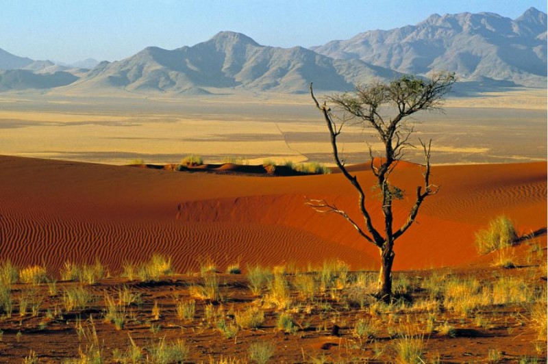 Namibrand Nature Reserve, Namibia, Africa.jpg