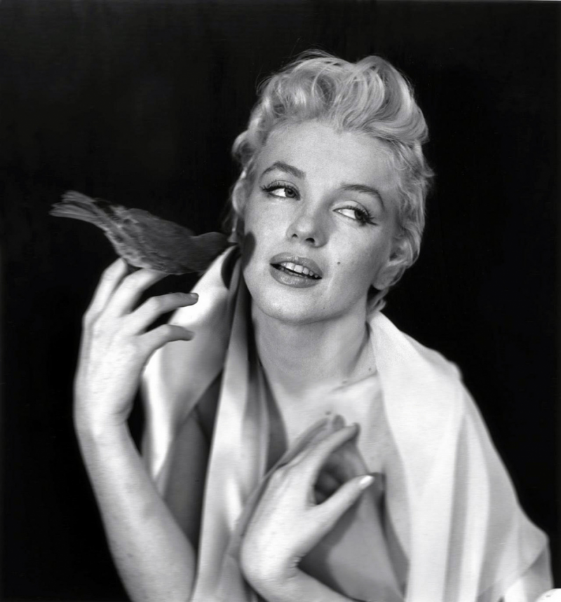 Marilyn Monroe1.jpg