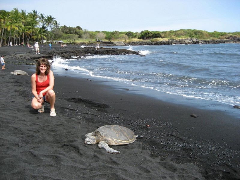 play-with-sea-turtles-on-a-black-sand-beach-in-hawaii.jpg