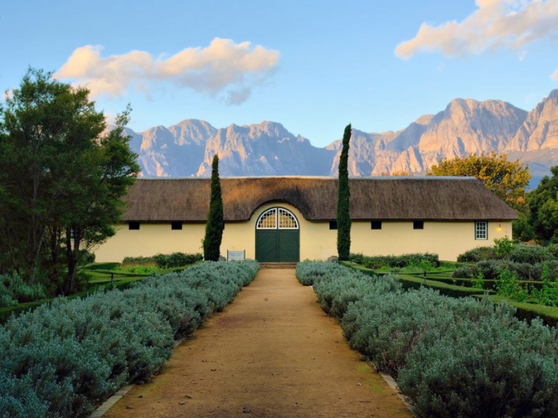 taste-wine-in-the-stellenbosch-south-africas-biggest-winemaking-region.jpg