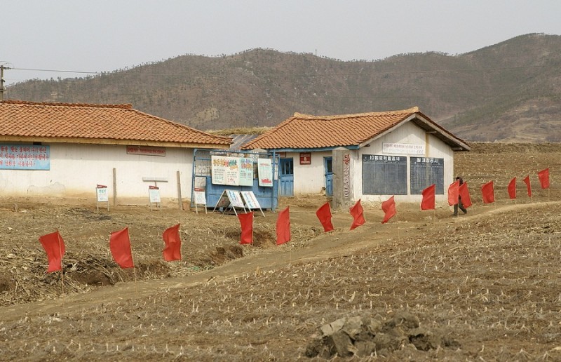 16Socialist competition charts, Naeho Village, Pyoksong County.jpg