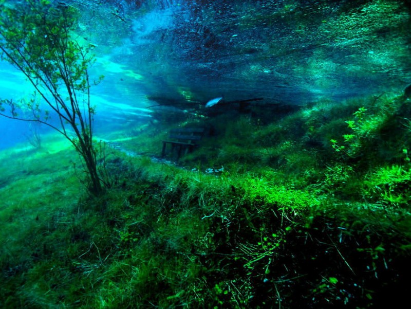 underwater park2.jpg