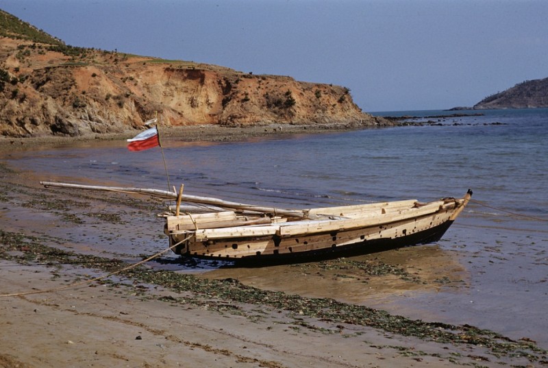 290 New Boat, 1952.jpg
