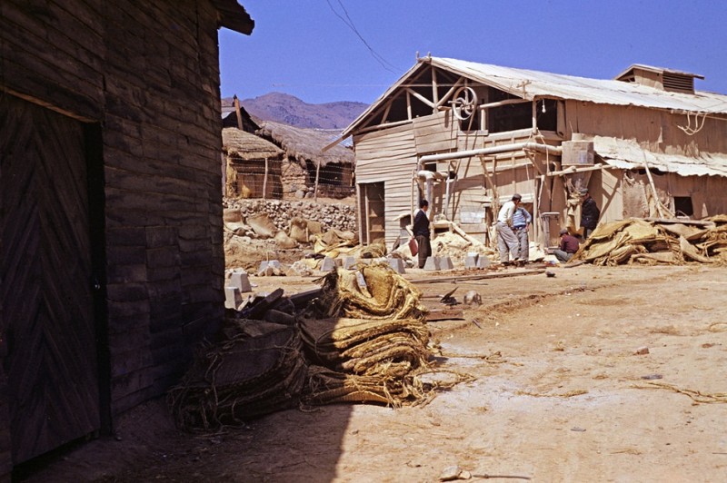 243Sawmill, 1952.jpg