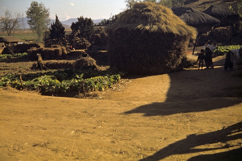 Korean village, 1956 7.jpg
