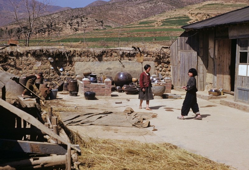 185Korean farmhouse, 1952.jpg