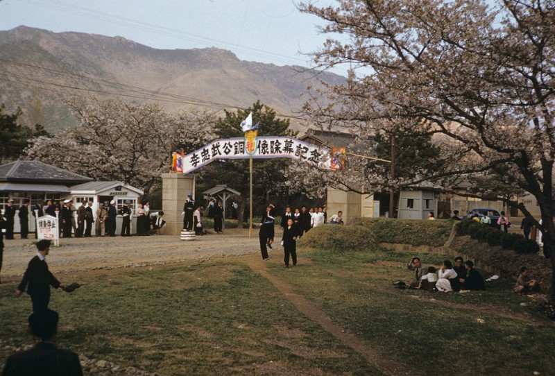 83Viewing the Blossoms, 1952.jpg