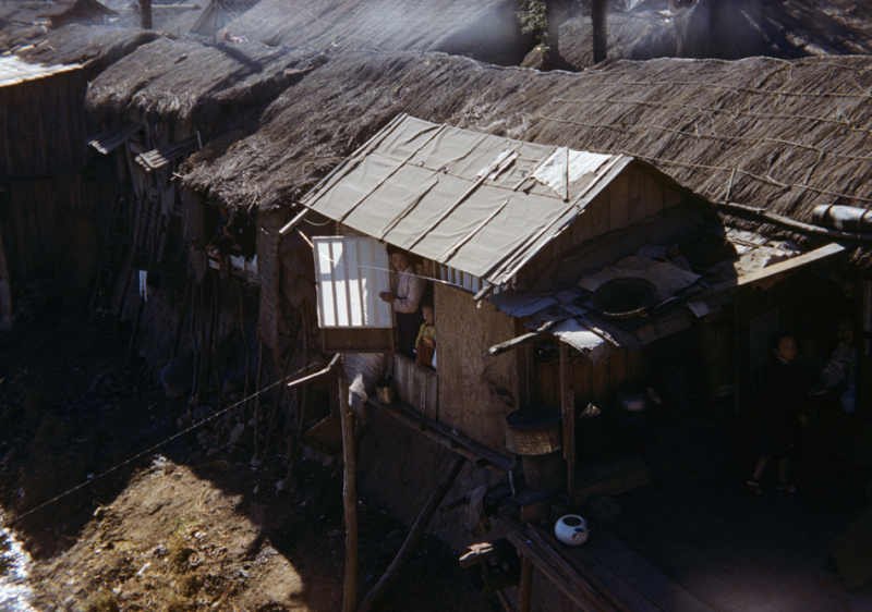 216Refugee shacks,1952.jpg