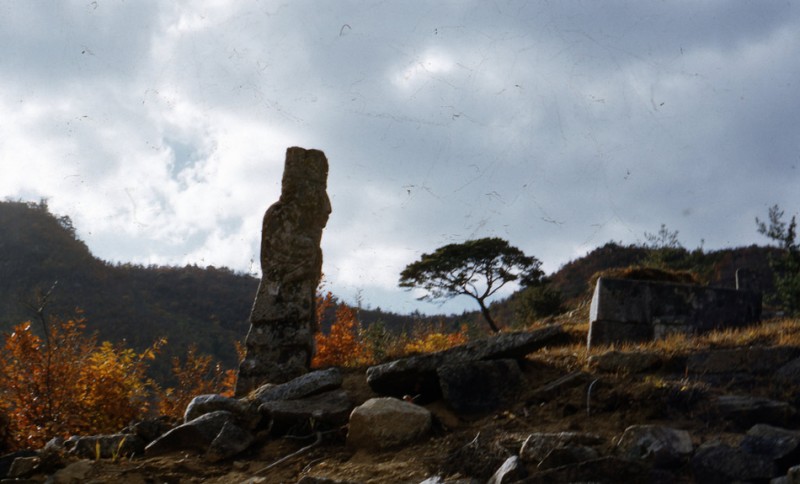 9 Steinstøtte ved forlatt tempel (1952).jpg