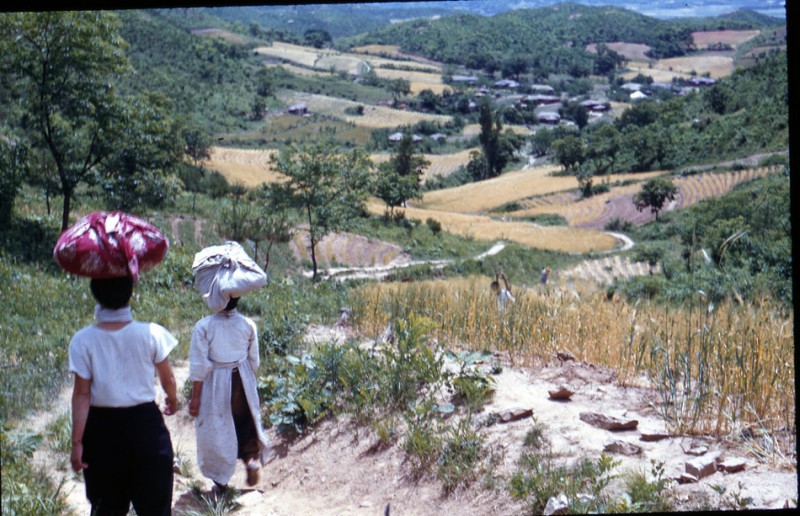 21 Koreansk landskap (1952).jpg