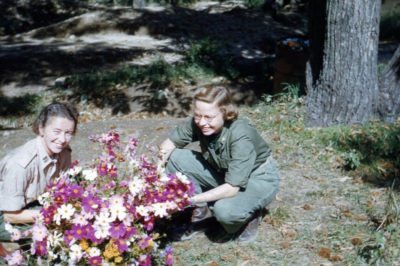 47 Blomsterglede (1952).jpg