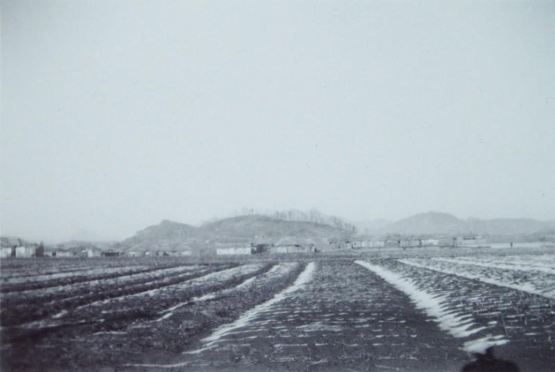 2 Korean Fields, 1946-47.jpg