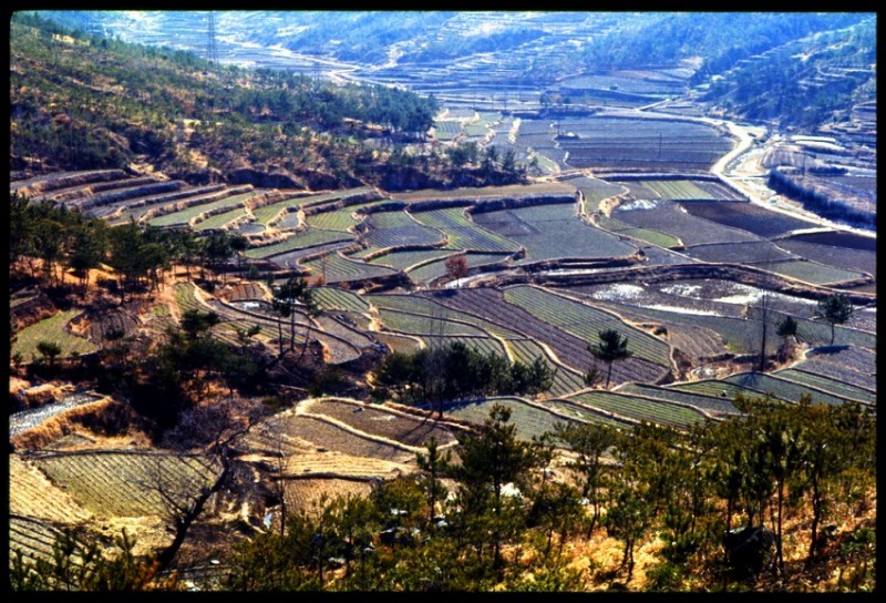korea---farming hillside.jpg