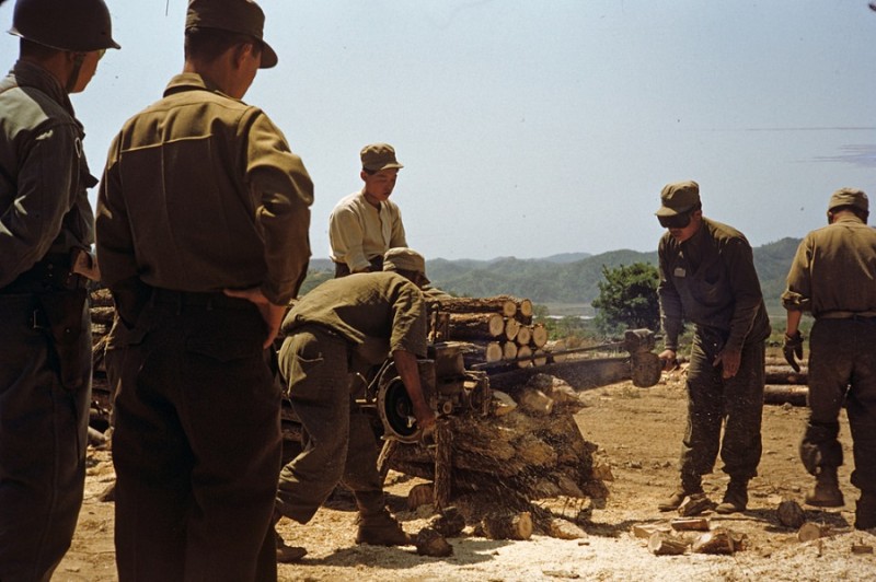 6 Korean Service Corps cutting wood, 1953.jpg
