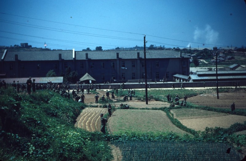 99 Korea, 1952.jpg