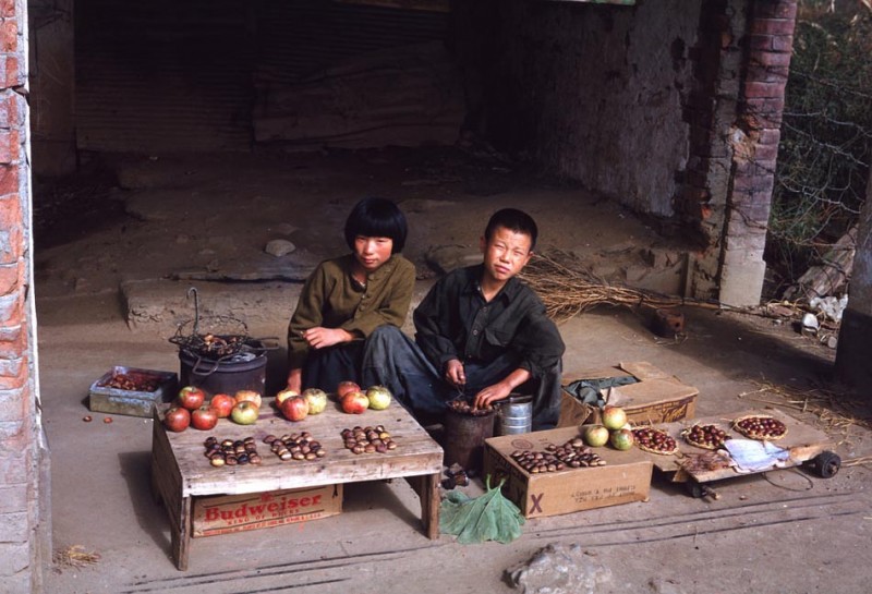 42 The Chestnut and Apple sellers.jpg