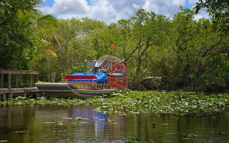5. Roam the Everglades, Florida.jpg