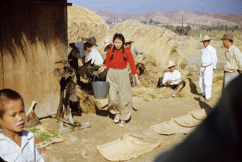 25 village girl Oct 1953 Korea.jpg