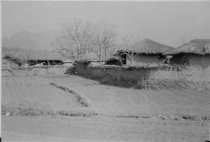 8 Village huts.jpg