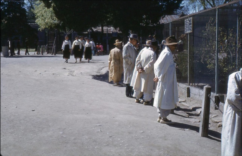 506H Original Slide Local People Visit Park Zoo  Post Korean War Korea 1950s.JPG