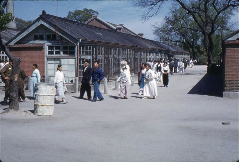 508H Original Slide Local People Visit Park Zoo  Post Korean War Korea 1950s.JPG