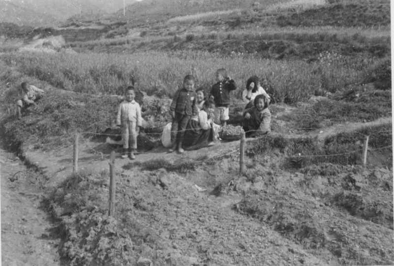 64d This group of children had just finished picking peppers Aug 1952.jpg